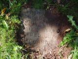image of grave number 855193